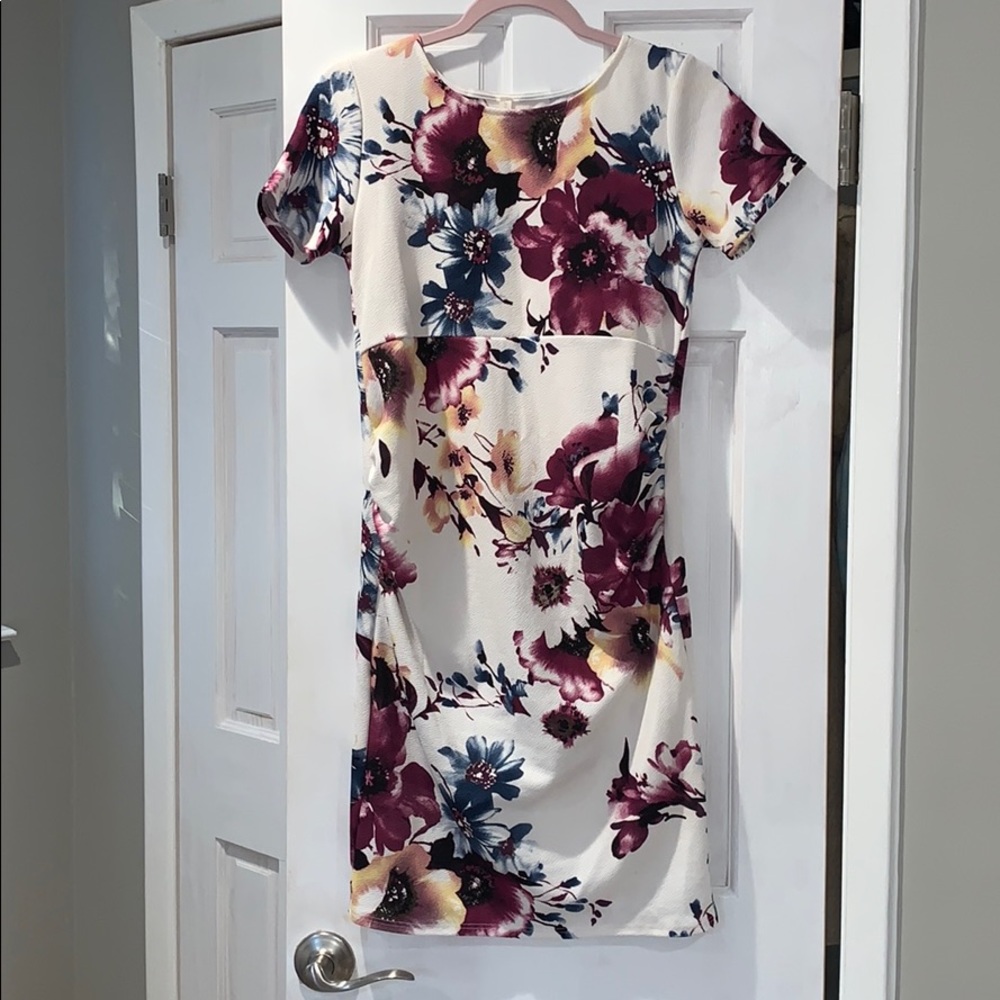 Pinkblush Maternity Dress